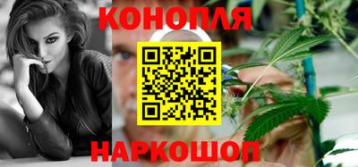 индика Пугачёв
