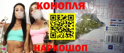 индика Пугачёв