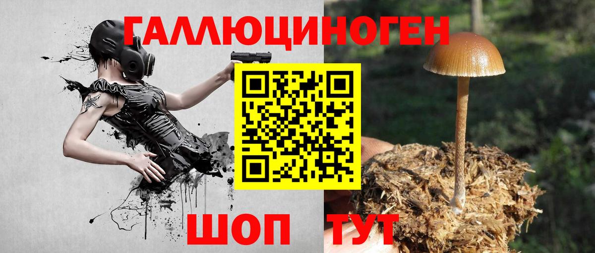 Псилоцибиновые грибы прущие грибы  Псилоцибиновые грибы MAGIC MUSHROOMS  закладка  Уварово  Вход с VPN 